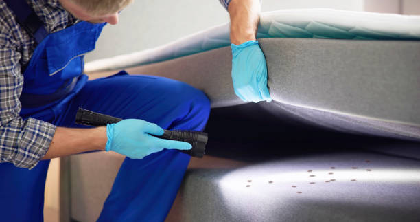 Best Flea Control Services  in Wilmerding, PA