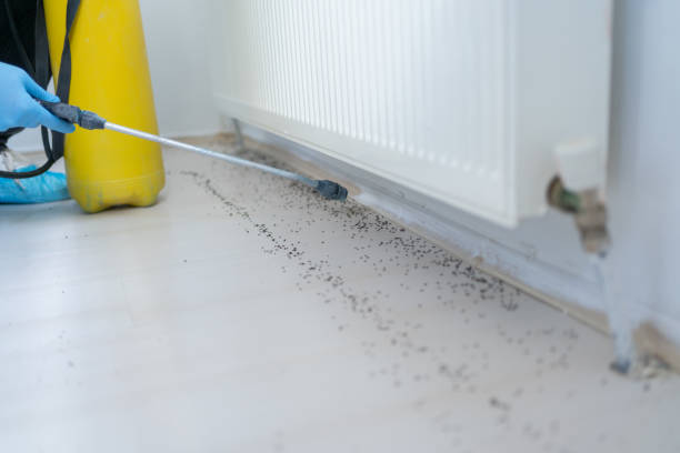 Best Residential Pest Control  in Wilmerding, PA